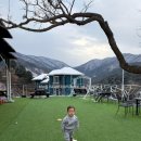 화목자동차서비스 | 가평 수목원로 브런치카페는 여기⭐뮤직스토리☕️🥙⭐️