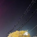 기동반-52 이미지