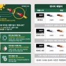 로데오 안경원 과천점 이미지