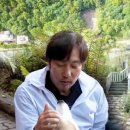 나라애견 이미지