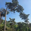 수지면 마륜마을 이미지