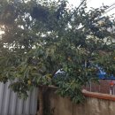 원평리 경로당 이미지