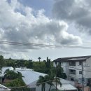 토토의 바다 | 보홀 자유여행ㅣ졸리비, 토토 에페피노, atv 체험, 살라뽀 예약, 반딧불 투어