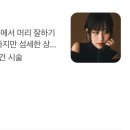 커트와 파마 이미지