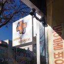 정철 동물병원 이미지