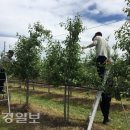 남정면사무소 이미지