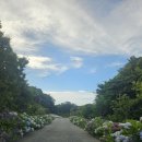 에코랜드 수영장 2층 | 태교여행 1일차 에코랜드 호텔 숙박 수영장 이용 후기