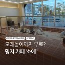 명지카 | 부산 명지 카페 ‘소에’ 솔직후기 | 아이 무료 모래놀이 가능! 주차·메뉴 총정리