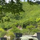 캠핑 포에버 이미지