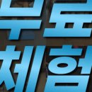 줌바댄스 | 명지국제신도시줌바댄스 후기 💃 신나게 운동 가능한 바디핏케어휘트니스 / 엄마 운동 고민중이라면 집!중!