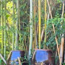 향교옆길 이미지