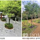 샘골공원2 이미지