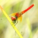 남포마을 이미지