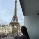 애견나라 백화점 | 파리 조식, 파리 인상적스냅, 쁘렝땅, 라파예트 백화점, 파리 한식당 이담, 파리 마카롱 라뒤레, 피에르...