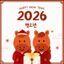 법인설렘
