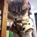 유석 동물병원 이미지