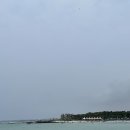 바다이야기7