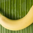 바나나 이미지