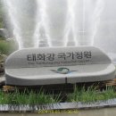 태화강국가정원 이미지