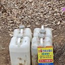 선학역 티스토리