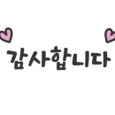 윤희꽃글씨