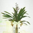 왕산중학교 이미지