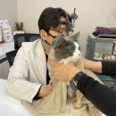 초코메디칼 이미지