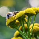 야무진태권도 이미지