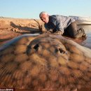 가오리PC 이미지