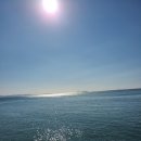 곰소항식품