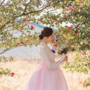 두시한복 이미지