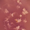 대청문화전시관 이미지