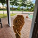 덤브치킨 이미지