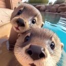 이유메디컬 이미지