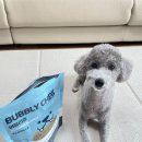 빅덴탈 | 누터스가든 버블리츄 강아지 구강관리 덴탈껌