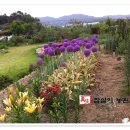 상상농장 이미지