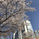 홍문당글숲대전나무점 이미지
