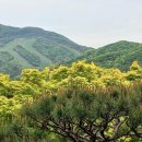 헉슬리의 '멋진 신세계' 풍의 어느 여고생의 영어 소설 이미지