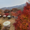 메종드카페 - 제주시 서광로 242 | 메종드카페
