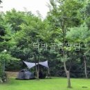 닥박골 휴양림 | 닥박골휴양림 접근성부터 먼저 보게 된 이유