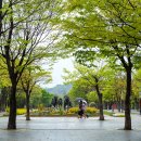 비오는 날 서울숲에는... 이미지