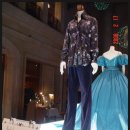 파라키스 이미지