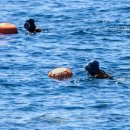 제주공항 현대서비스 이미지