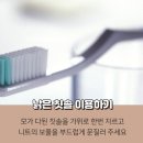 모들니트 이미지