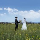 오위스튜디오