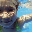 별빛숲캠핑바베큐 이미지