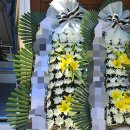 안강중앙병원 이미지