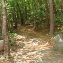 교방동105 이미지