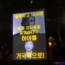 이게 북괴와 야당과 좌익 민주노총 , “사회혁명의 시작을 선포한 날”, ‘이석기 석방 및 주한미군 철수 구호 난무’ , '경찰 폭행까지' 이미지