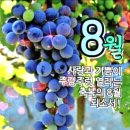 8월 1일 금요일 간추린 뉴스와 날씨 이미지